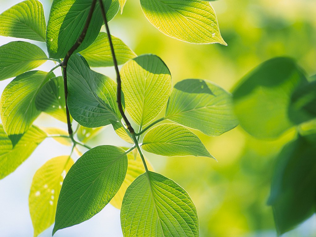 [贴图]清爽一夏