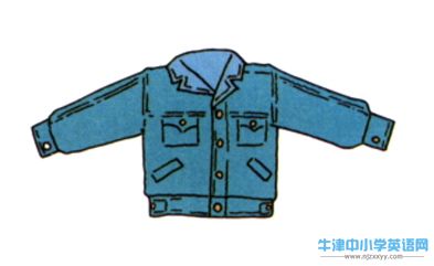 a jacket.JPG