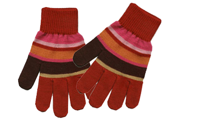 a pair of gloves.JPG