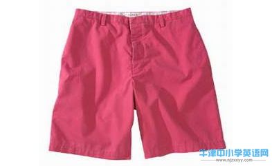 a pair of shorts.JPG