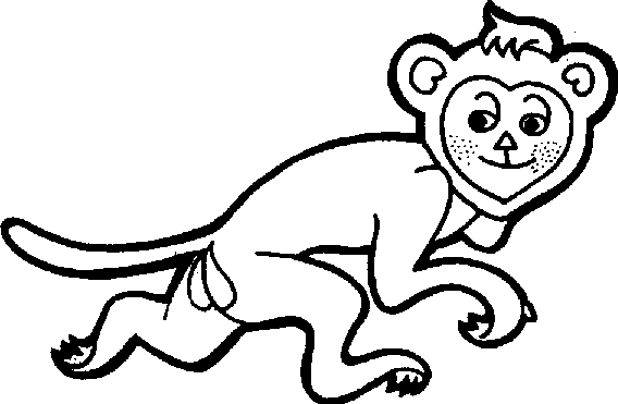 monkey