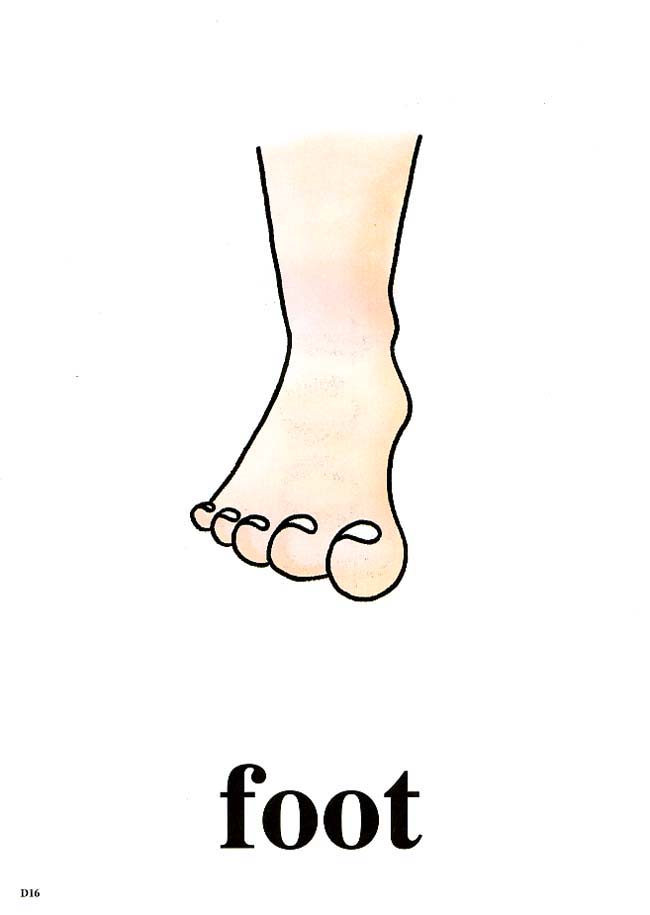 foot.jpg