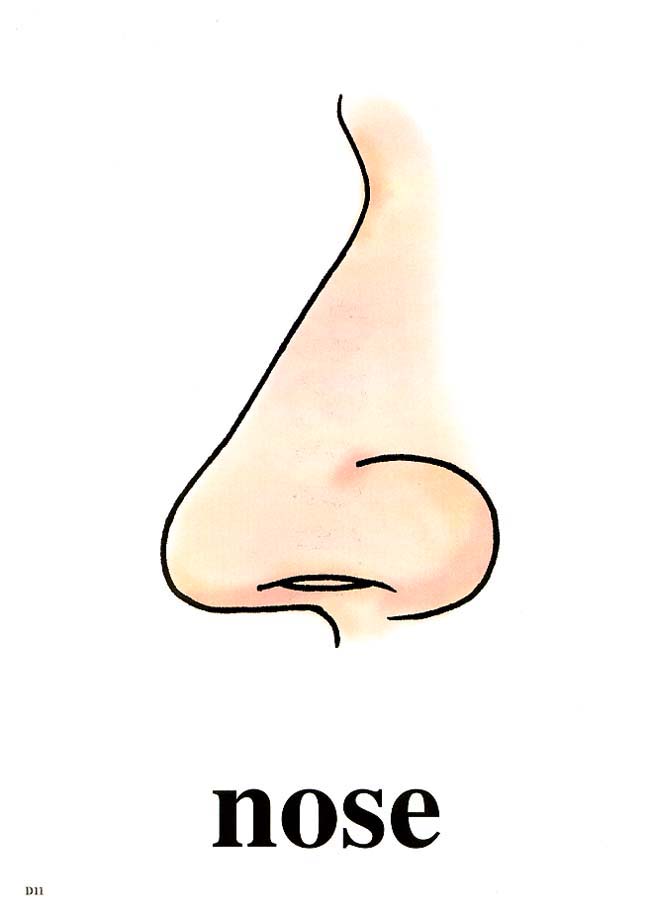 nose.jpg