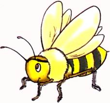 a bee.JPG