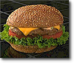 fast food hamburger2.jpg