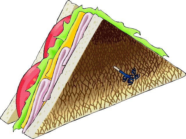 fast food sandwich.jpg