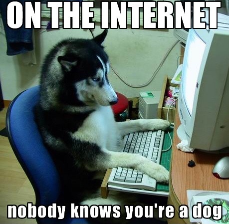 internet-dog-207785.jpg